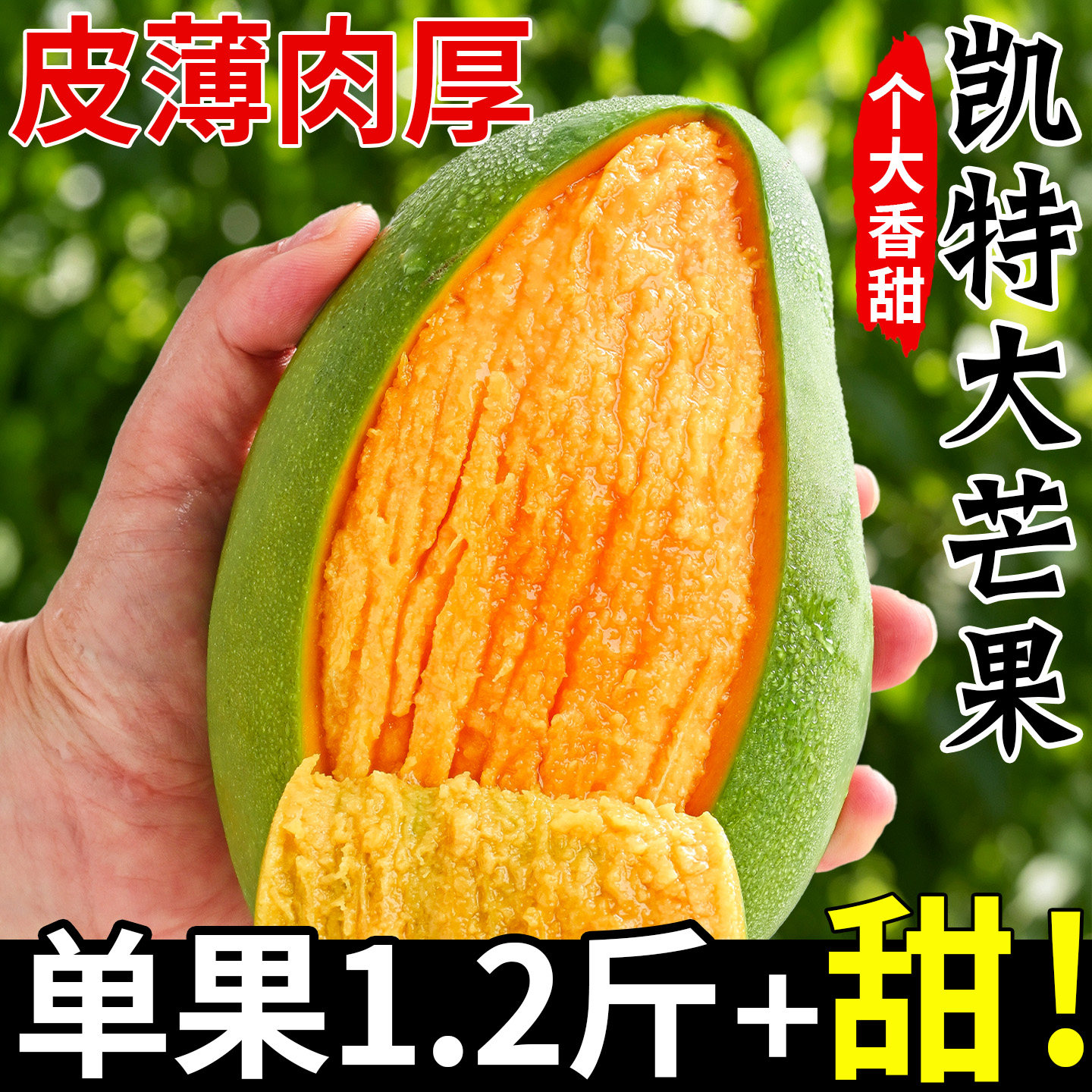 只发大果丨四川攀枝花凯特芒