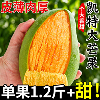 四川攀枝花凯特芒果新鲜应季水果芒果特大青忙果当季正宗整箱包邮