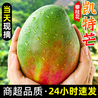 四川攀枝花凯特芒果新鲜应季水果芒果整箱包邮特大青忙果当季产地