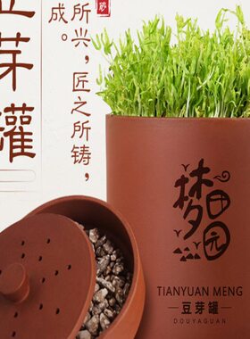 花生黄豆豆芽发豆芽芽豆芽机芽家用桶芽神器紫砂罐盆器发生生绿菜