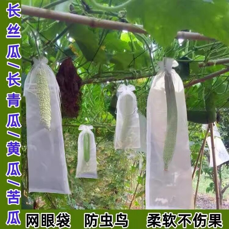 无纺布苦瓜专用套袋丝瓜黄瓜青瓜羊角蜜防虫袋保护袋防蜂果蝇套袋