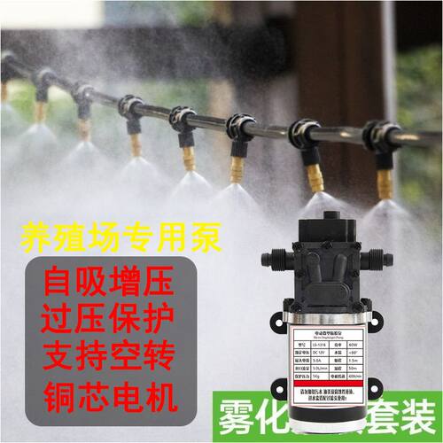 养殖场喷雾降温912专用泵增压泵自动定时加压泵812管小型铜芯自吸