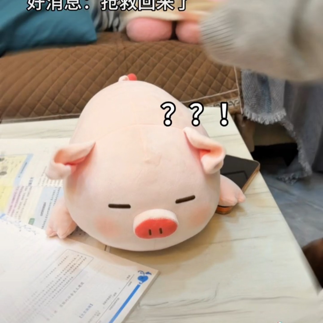 可爱飞天小肥猪抱枕陪睡礼物