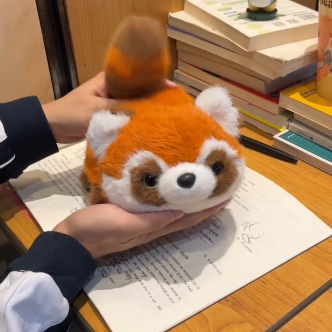抖音可爱熊猫变身毛绒公仔