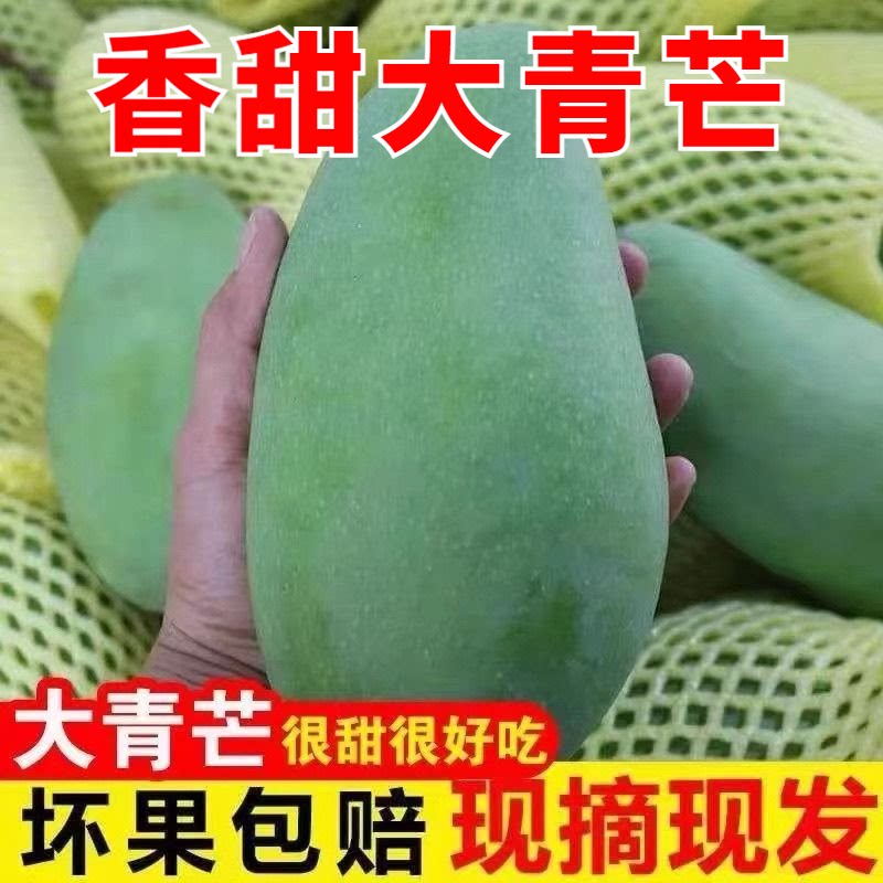 广西大青芒果当季新鲜越南香甜芒果大果正宗青皮金黄芒整箱包邮