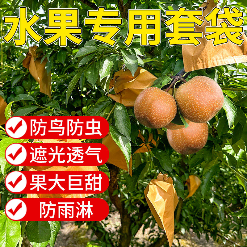 梨子套袋秋月梨水果套袋果蔬袋草莓葡萄桃子专用纸袋防风防鸟好物