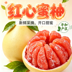 【品质货】正宗红心蜜柚水净重4.5斤！