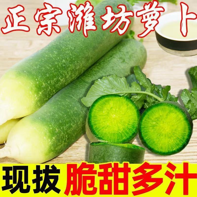 冰糖心萝卜种甜脆可口营养丰富正宗潍坊沙窝水果萝卜可生吃送礼