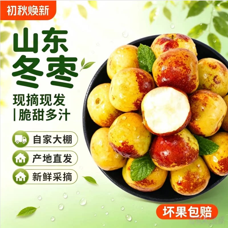 山东沾化冬枣5斤装孕妇当季整箱脆枣现摘现发产地直发中秋送礼