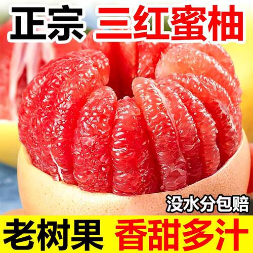 正宗三红蜜柚新鲜孕妇水果现摘现发当季中秋送礼红心柚子时令水果