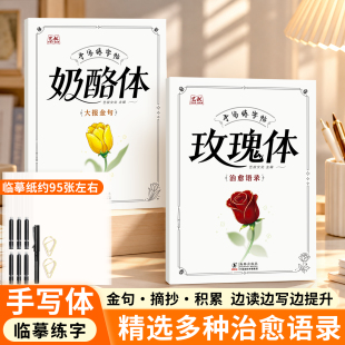 奶酪体玫瑰体硬笔练字帖 治愈解压文案正能量成人手写临摹练字本