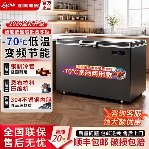 Gome国美变频静音卧式速冻冷柜