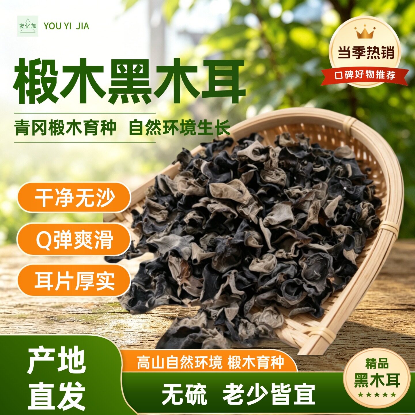 无根肉厚,1斤泡10斤超划算
