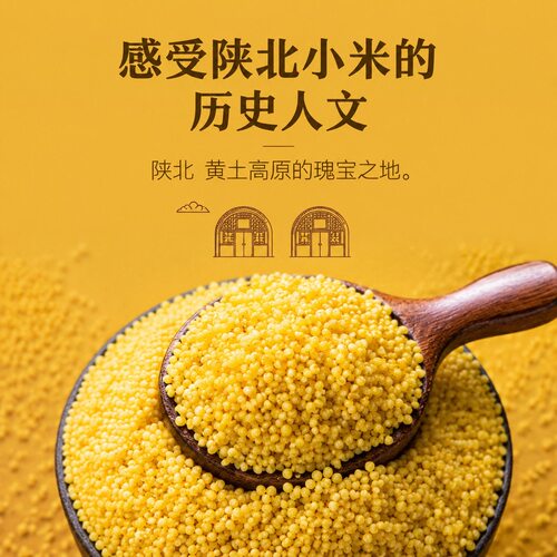 正宗陕北黄小米五谷杂粮油小米粥