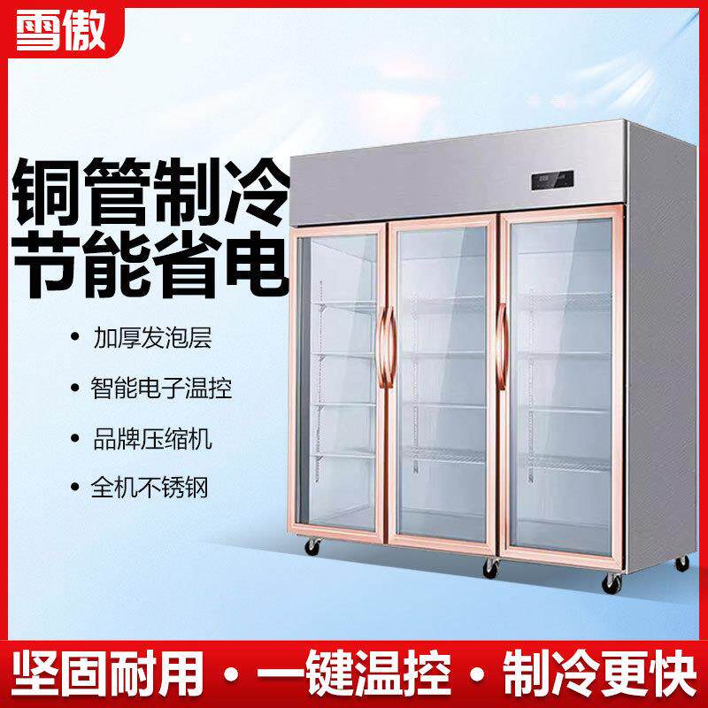 大三门冷藏保鲜展示柜商用冷柜蔬菜串串店大二开双门点菜柜不锈钢