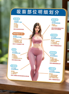 医美吸脂部位划分科普摆件