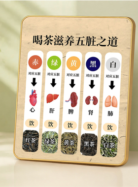 五脏茶饮调养科普店用摆件