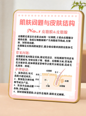 皮脂膜肌肤结构科普美容院摆件