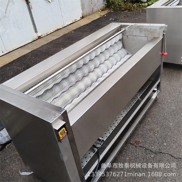 胡萝卜毛刷清洗机叶菜类辣椒气泡清洗设备猪蹄马蹄毛辊清洗设备
