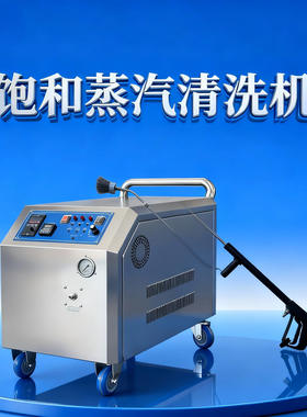 三相电大功率蒸汽清洗机