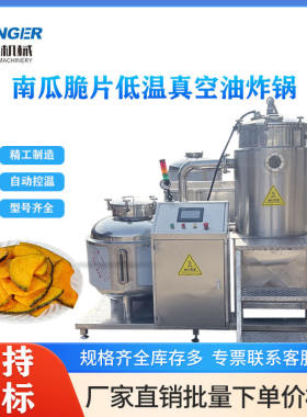 VF真空低温油炸机洋葱圈