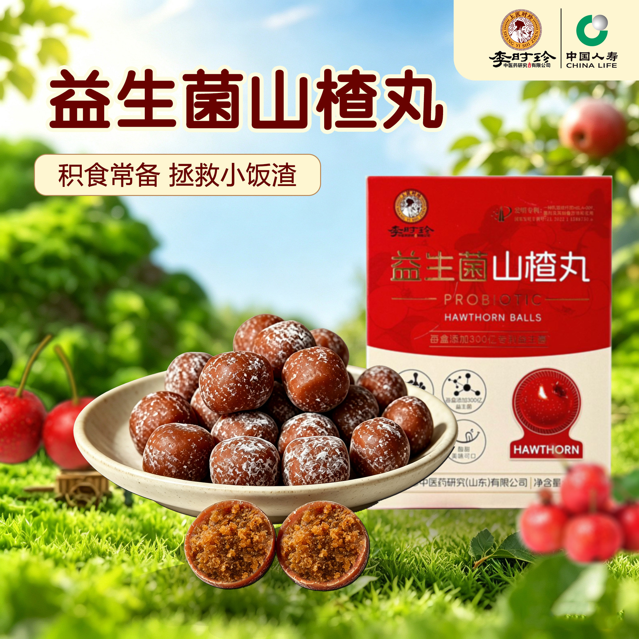 李时珍益生菌山楂丸健开胃无蔗糖儿童零食小时候吃的老式大山楂球
