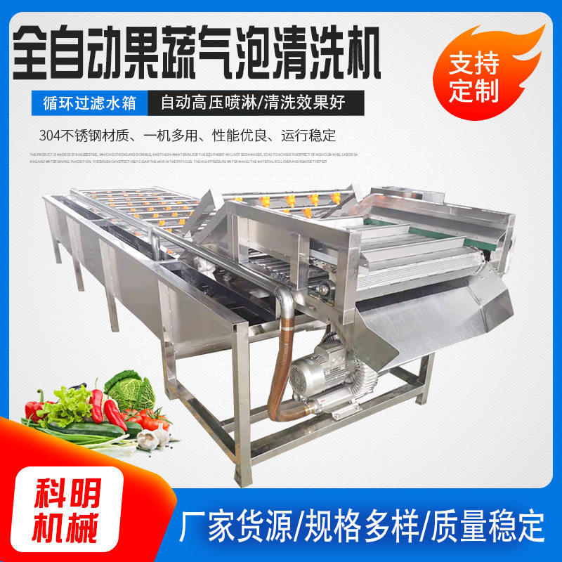 气泡清洗机喷淋式杨梅溜溜梅脱盐清洗机小型青梅清洗风干设备