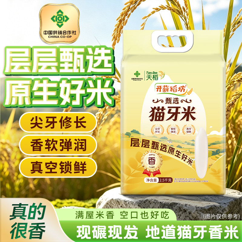 开薪稻田5斤猫牙米煲仔饭专用