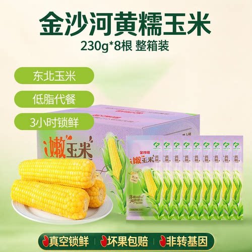 金沙河东北新鲜嫩玉米四平糯玉米