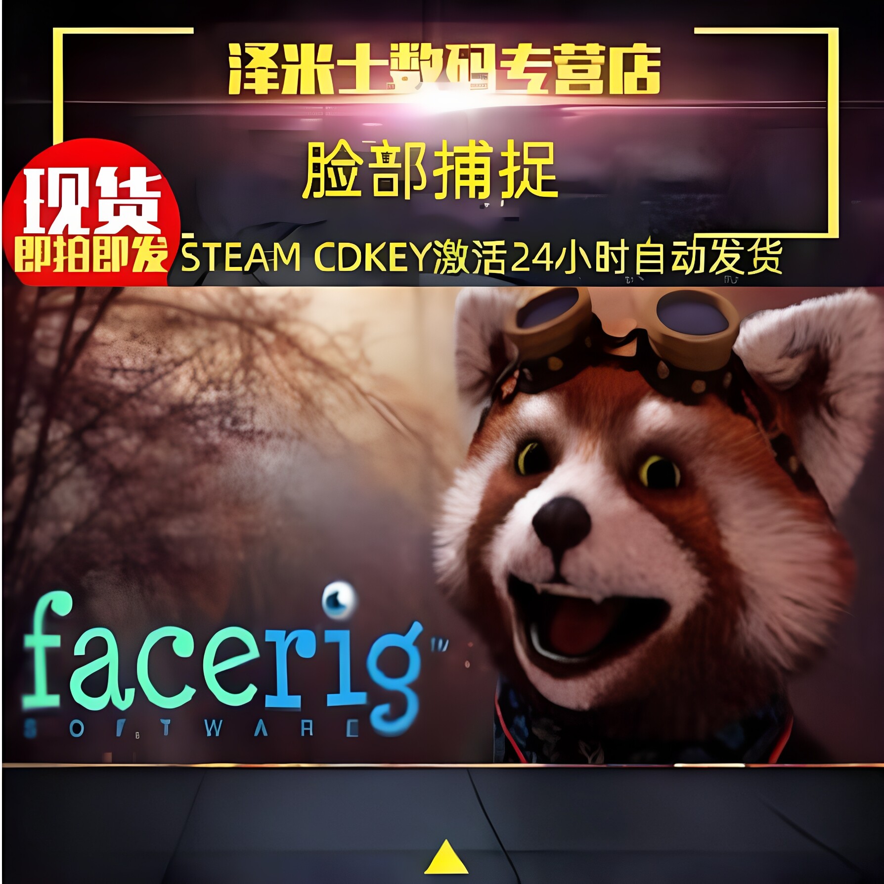 现货秒发 PC正版游戏 Steam 脸部捕捉 FaceRig 全球key