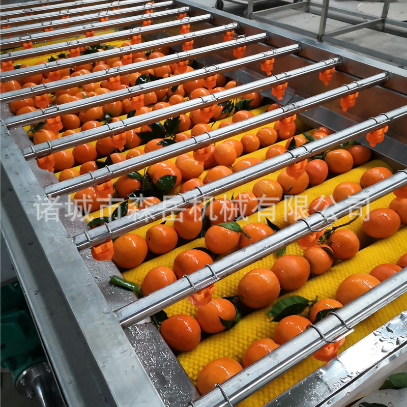水果沃柑柠檬打蜡机选果机甜橙清洗抛光保鲜蜜柚清洗机厂家果蔬