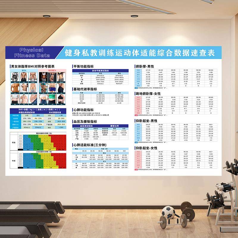 体能数据墙纸俯卧撑仰卧起坐血压心肝基础代谢率平衡体脂率图壁画