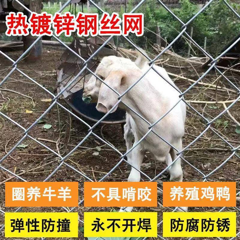 镀锌钢丝网勾花网养殖牛羊拦鸡围网户外果园围栏圈地围山围果园