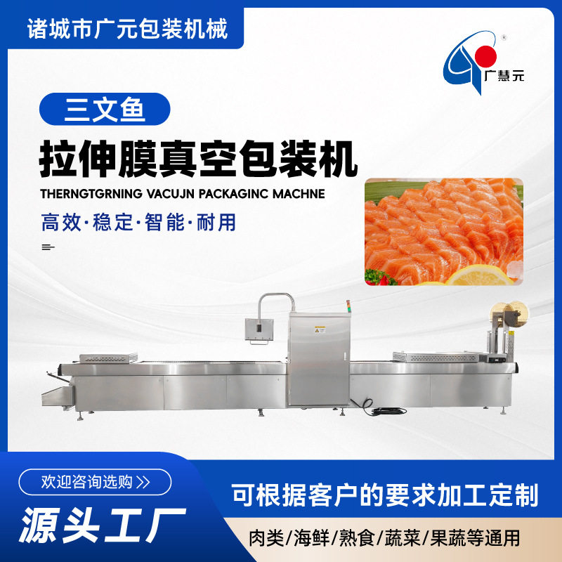 冻干鸡肉饼三文鱼拉伸膜真空包装机生骨肉饼自动连续真空包装机