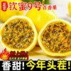 主图