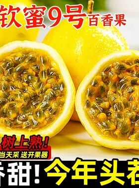 广西钦蜜9号黄金百香果新鲜特大果应当季百香果原浆水果