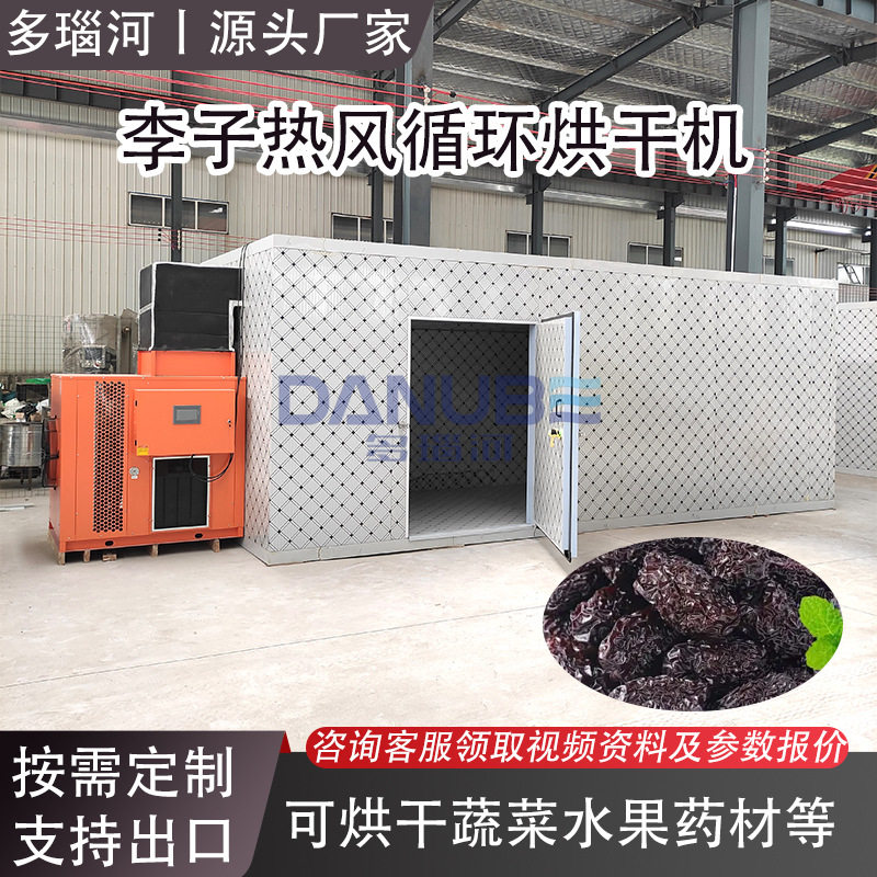李子热泵烘干机工业用嘉庆子干燥设备黑布林水果热风循环烘干房