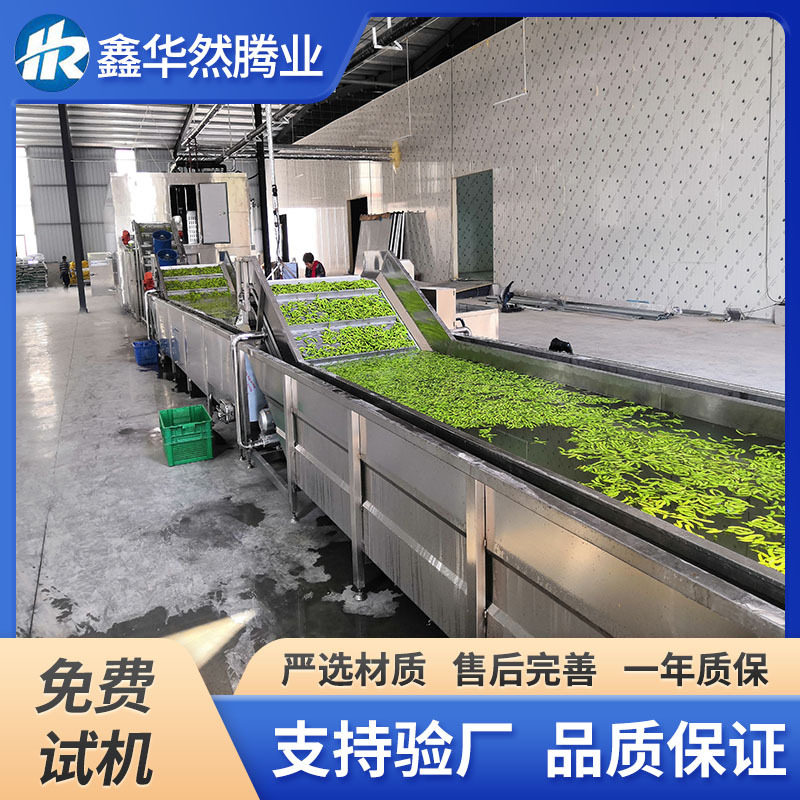 毛豆荚豌豆粒速冻加工大型冷冻设备玉米粒西蓝花预处理加工设备