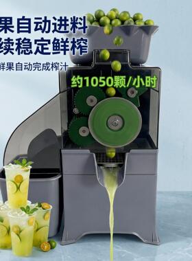 领晶科技新款 juicer blender 商用柠檬金桔榨汁机 全自动榨汁机