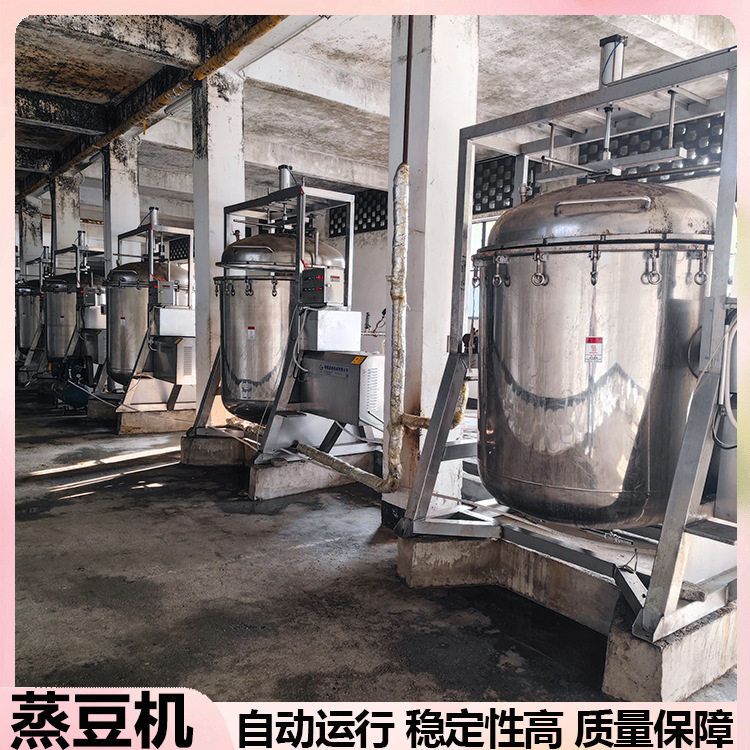 作坊纳豆黄豆蒸豆机全自动酿醋粮食蒸煮设备不夹生不破皮豆类蒸煮