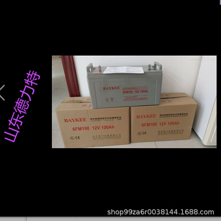 新款柏克蓄电池6FM-200铅酸储能免维护12v200ah蓄电池厂家指导价