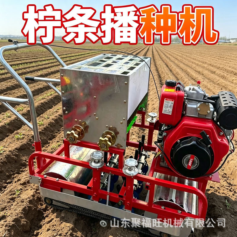 赤芍拧条紫苏种植机洋葱芹菜香菜白菜播种机萝卜大葱蔬菜精播机