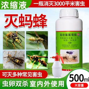 马蜂杀虫剂灭死驱马蜂药胡蜂蜜蜂毁巢灵神器烟雾高效氯氰氟菊酯水
