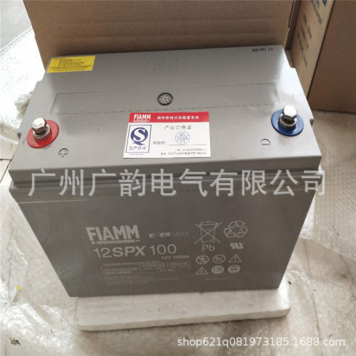 意大利非凡蓄电池12v100A