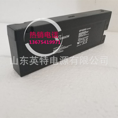 VISENCH/威神UPS电池1223