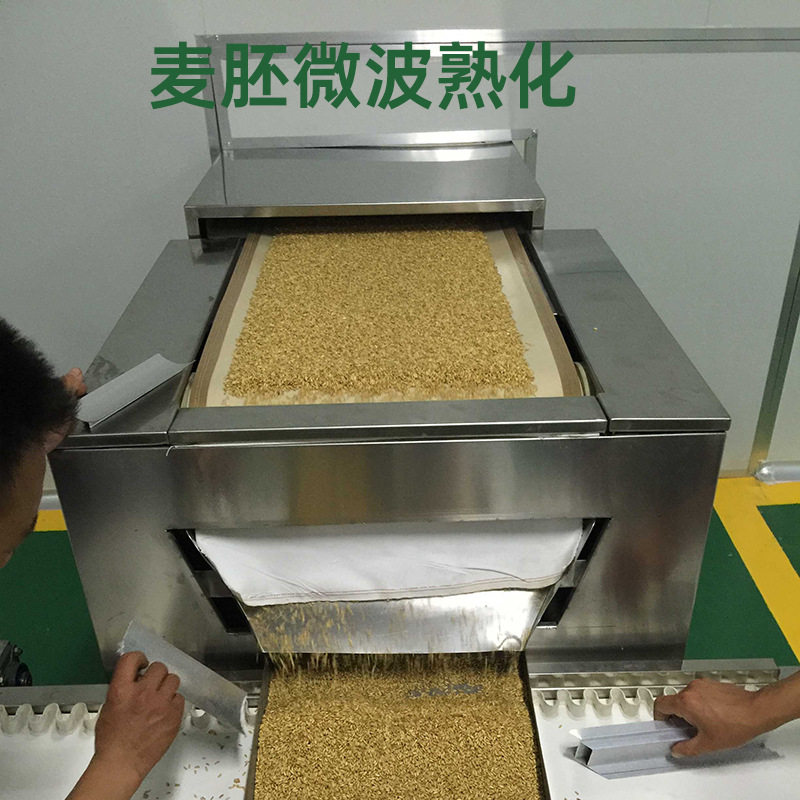 【无水熟化】五谷杂粮熟化设备黄豆营养粉麦胚微波加热熟化机厂家