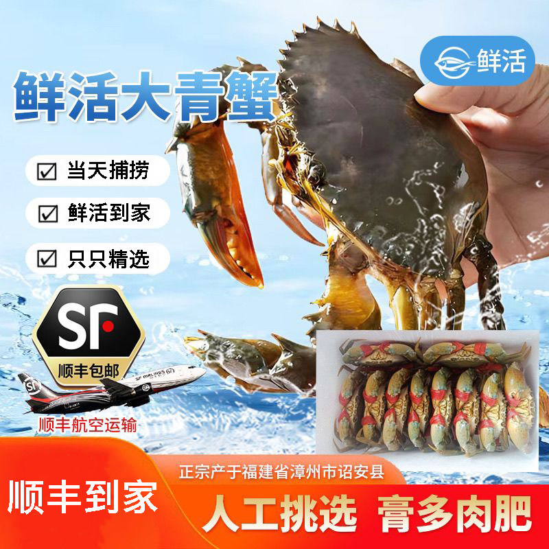 【顺丰鲜活到家】福建东山岛红膏青蟹