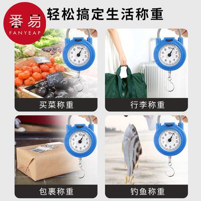 弹簧称/手提A1pn001-高精度手提称便捷家用买菜随身带小勾称小体