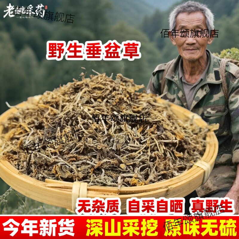 云南野生垂盆草材500g干货