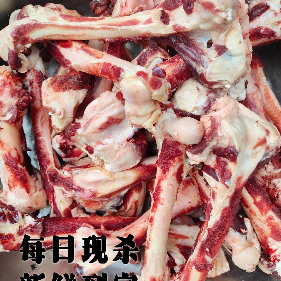 正宗梅花鹿鲜鹿骨加酒保鲜发货